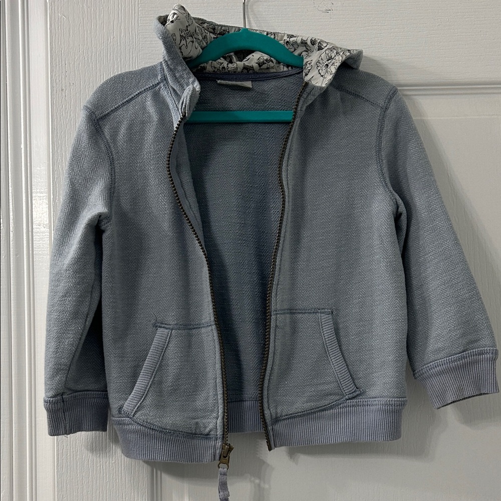 Powder Blue Zip-up Hoodie, 4T